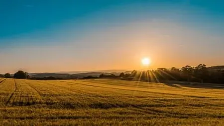 Health Is Real Wealth: 7-Step Morning Routine to Live a Healthy Life