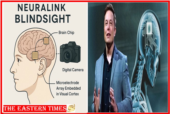 Neuralink, Blindsight Brain chip, elon musk