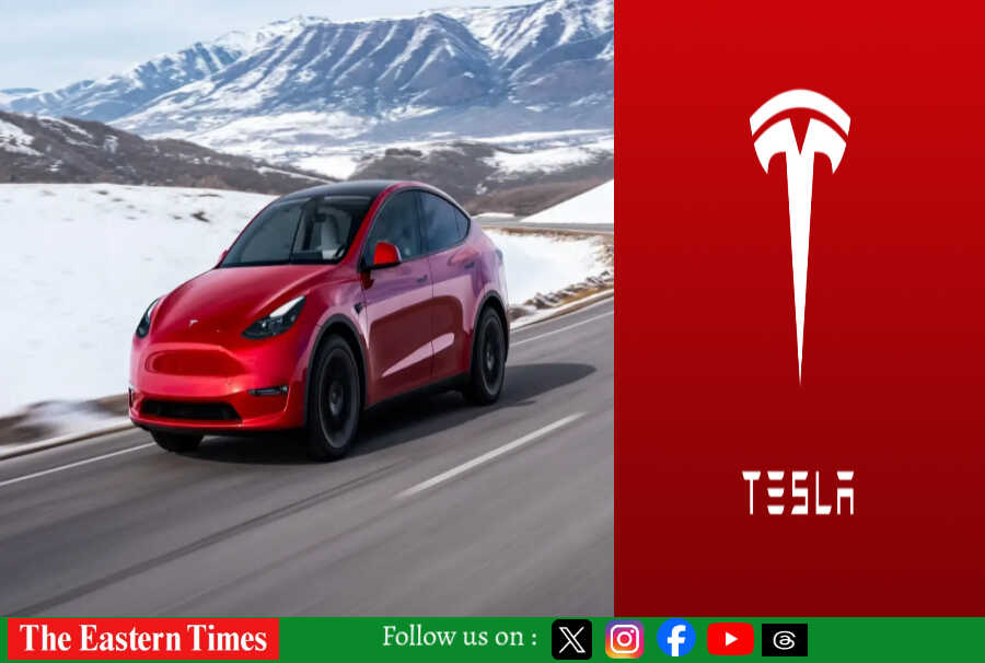 tesla in india